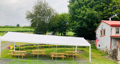 Winery «Glorie Farm Winery», reviews and photos, 40 Mountain Rd, Marlboro, NY 12542, USA