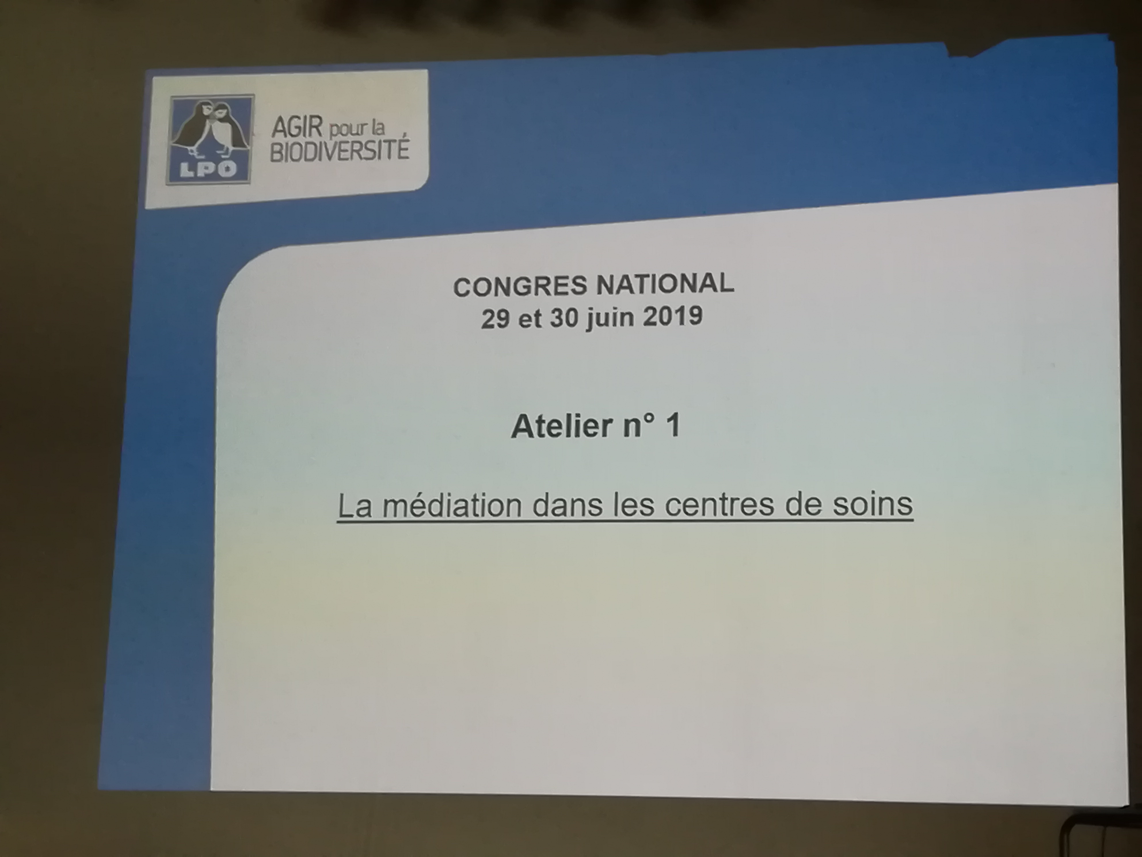 Photo n° 17 de l'avis de Nathalie.e fait le 29/06/2019 à 20:26