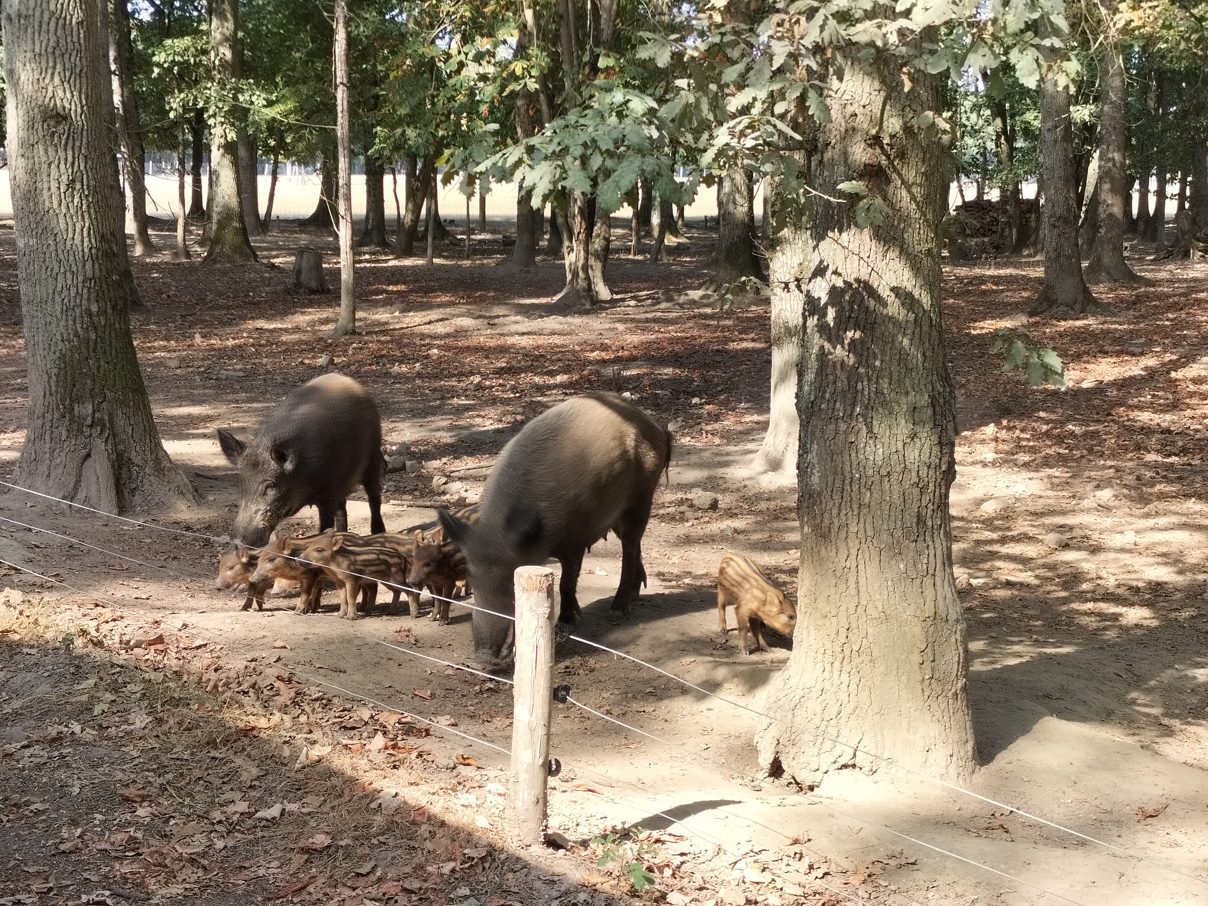 Photo n° 3 de l'avis de Melanie.r fait le 31/08/2022 à 15:45