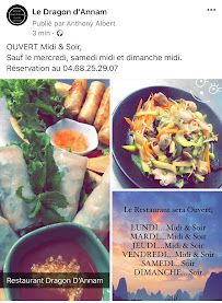 Restaurant vietnamien Dragon D’Annam Carcassonne à Carcassonne (le menu)