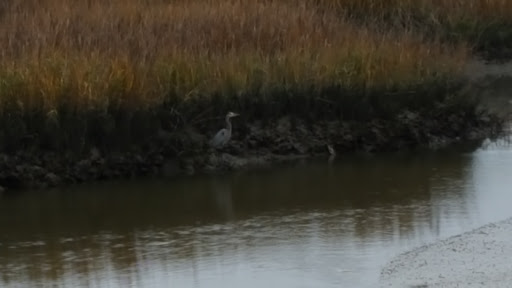 Park «Sanford D. Cox, Sr. Community Park», reviews and photos, 470 Elizabeth Dr, Murrells Inlet, SC 29576, USA