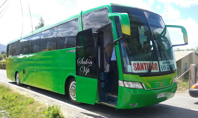 Opiniones de Buses San Camilo en Santa Cruz - Servicio de transporte