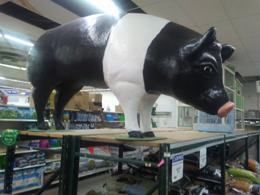 Department Store «Rural King», reviews and photos, 2960 E 10th St, Jeffersonville, IN 47130, USA