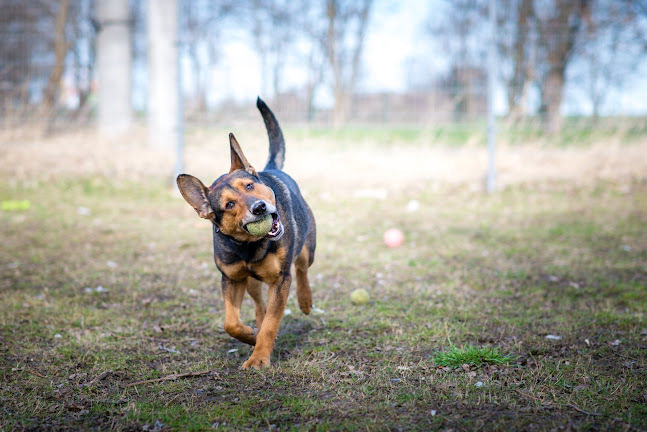 Przytulisko TOZ Jawor - Sklep z artykułami dla niemowląt