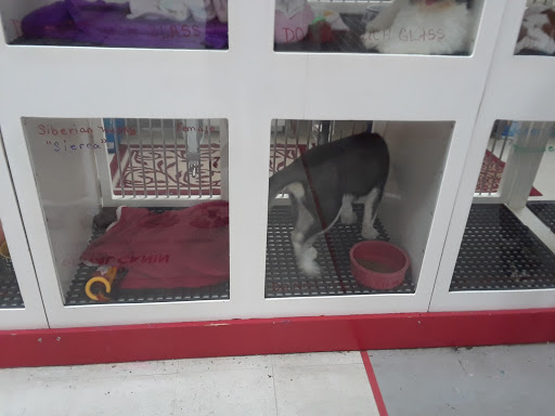 Shopping Mall «Hampton Plaza Shopping Center», reviews and photos, 4033 W Mercury Blvd, Hampton, VA 23666, USA