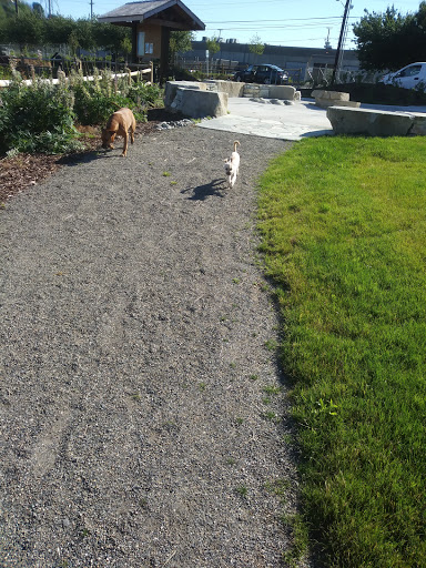 Park «Duwamish Hill Preserve», reviews and photos, 3800 S 115th St, Tukwila, WA 98168, USA
