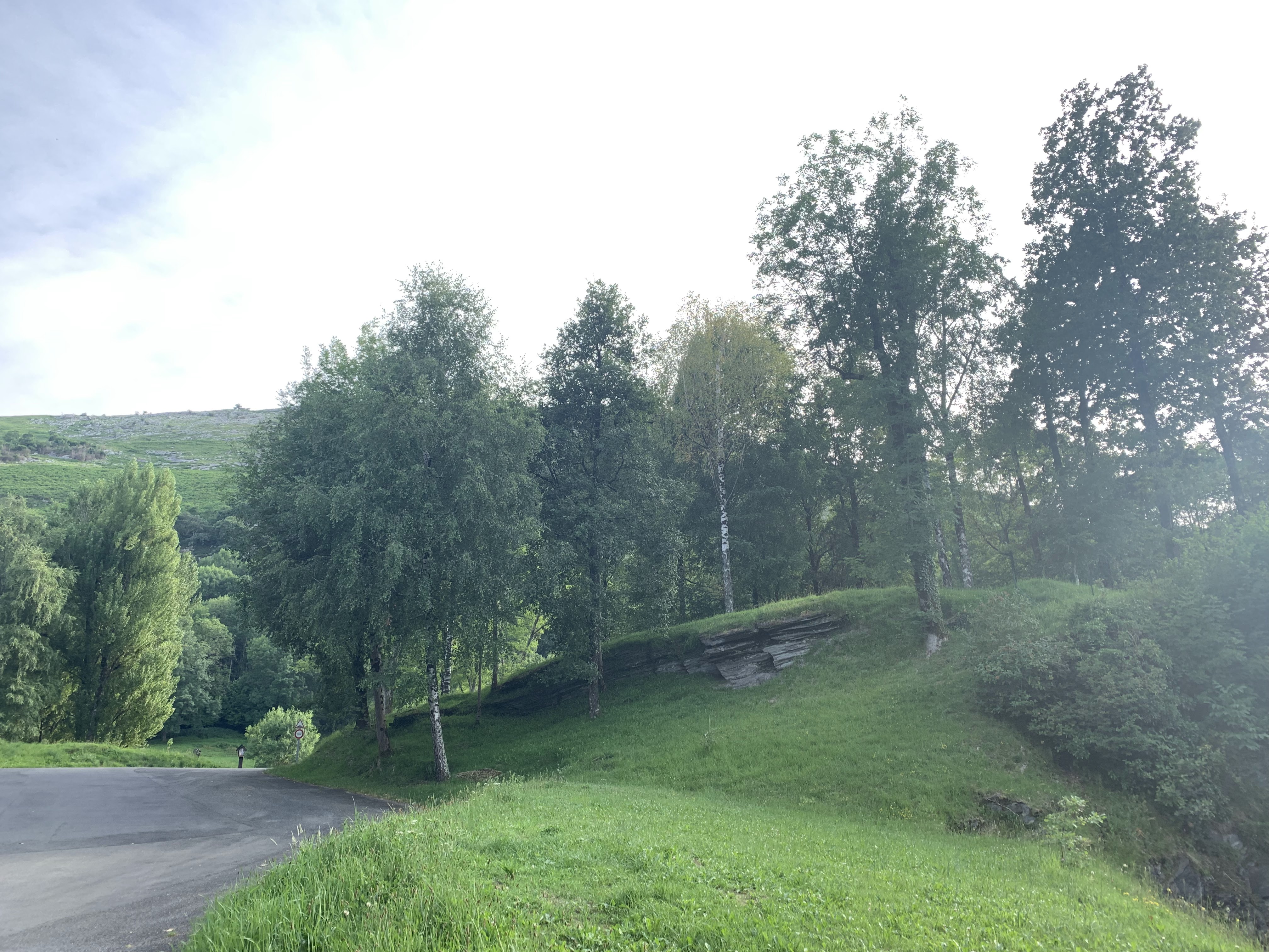 Photo n° 6 de l'avis de Alina.o fait le 11/07/2019 à 00:46