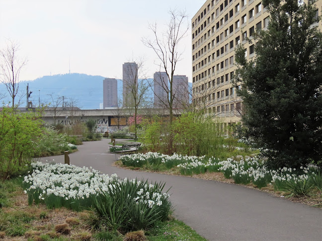 Maaghof-Park - Zürich