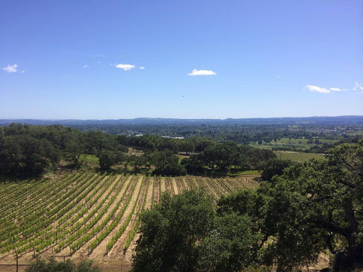 Wine Tour Drivers - Napa Valley, Sonoma County, Lodi & Sierra Foothills image