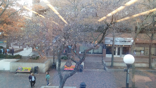 Tourist Attraction «Pedestrian Mall», reviews and photos, 201 Dubuque St, Iowa City, IA 52240, USA