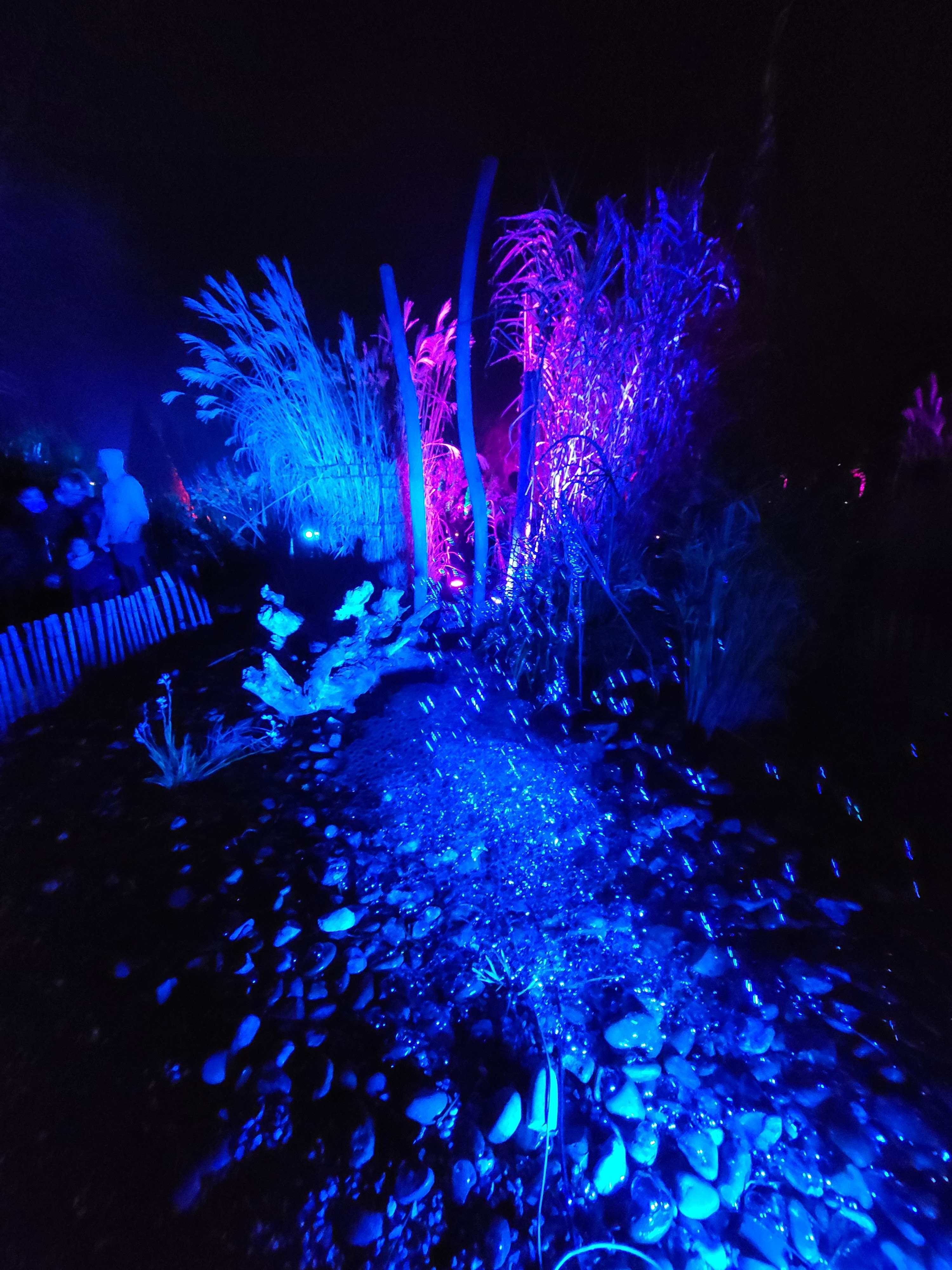 Photo n° 1 de l'avis de Denis.o fait le 18/12/2021 à 19:38