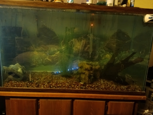 Pet Supply Store «PetSmart», reviews and photos, 1013 W University Ave, Georgetown, TX 78628, USA