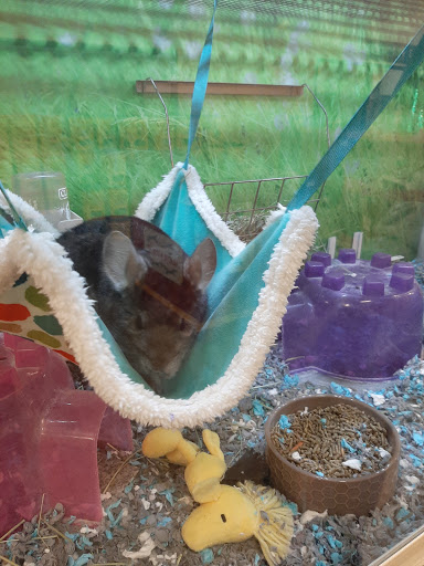 Pet Supply Store «PetSmart», reviews and photos, 4216 S Scatterfield Rd, Anderson, IN 46013, USA