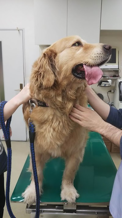 枚方動物病院