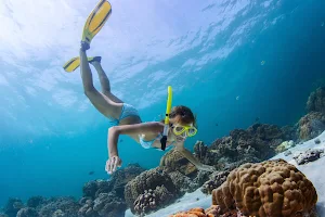 Oceantroller Freediving & Snorkeling image