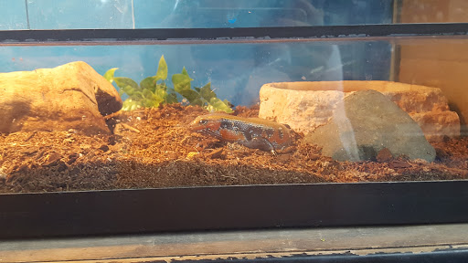 Pet Store «V.I. Pets», reviews and photos, 11975 E Lakewood Blvd, Holland, MI 49424, USA