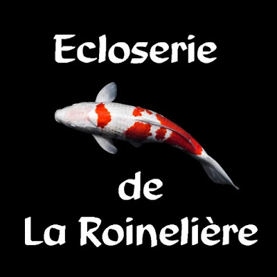 Ecloserie de la Roinelière à Conne-de-Labarde