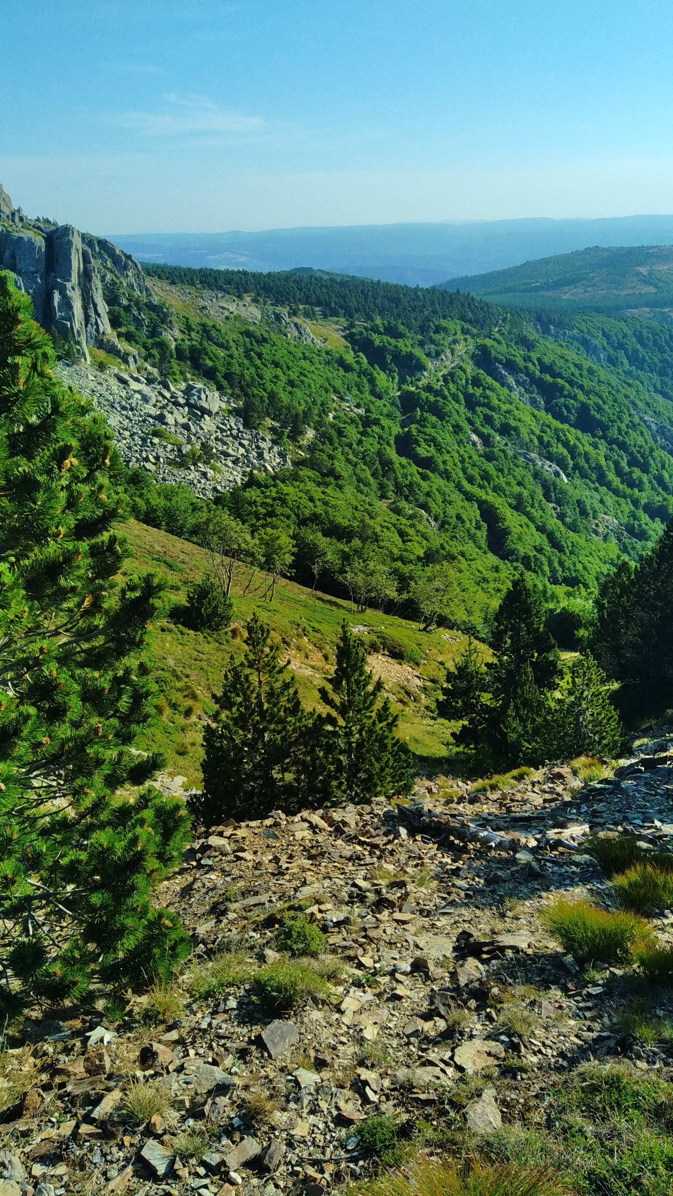 Photo n° 18 de l'avis de Julien.a fait le 15/10/2022 à 19:20