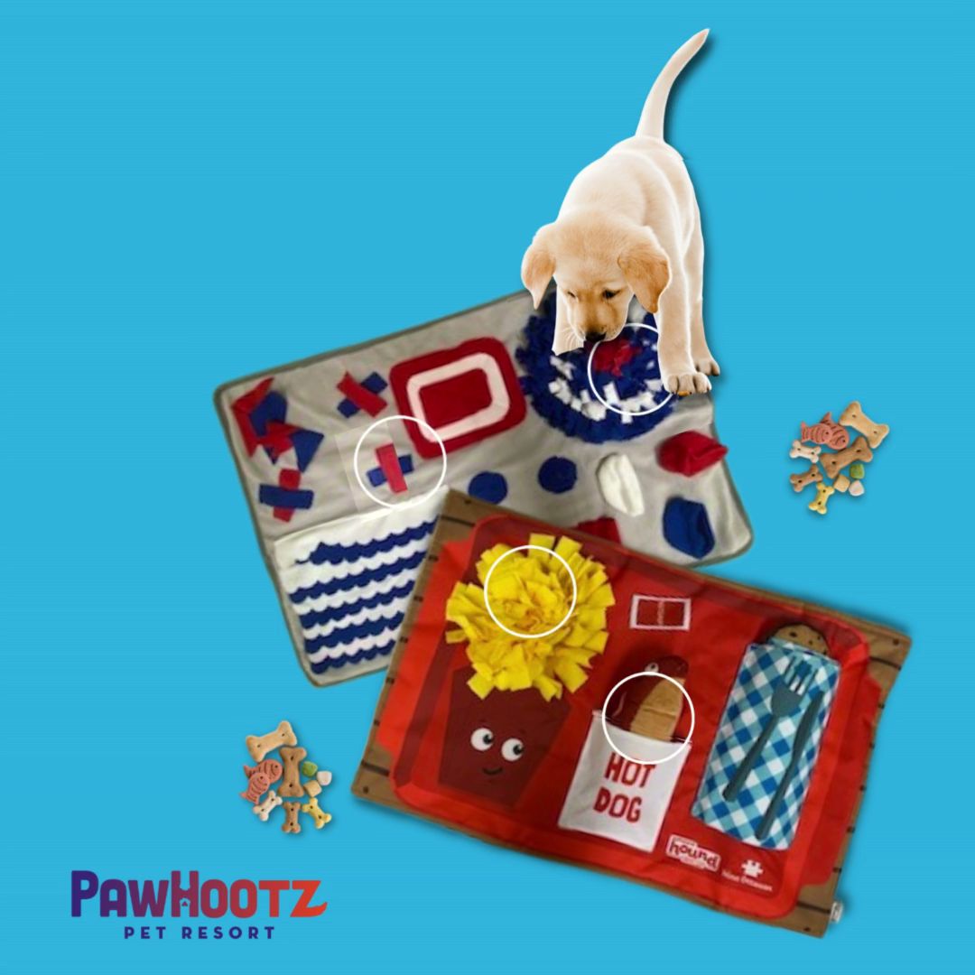 PawHootz Pet Resort