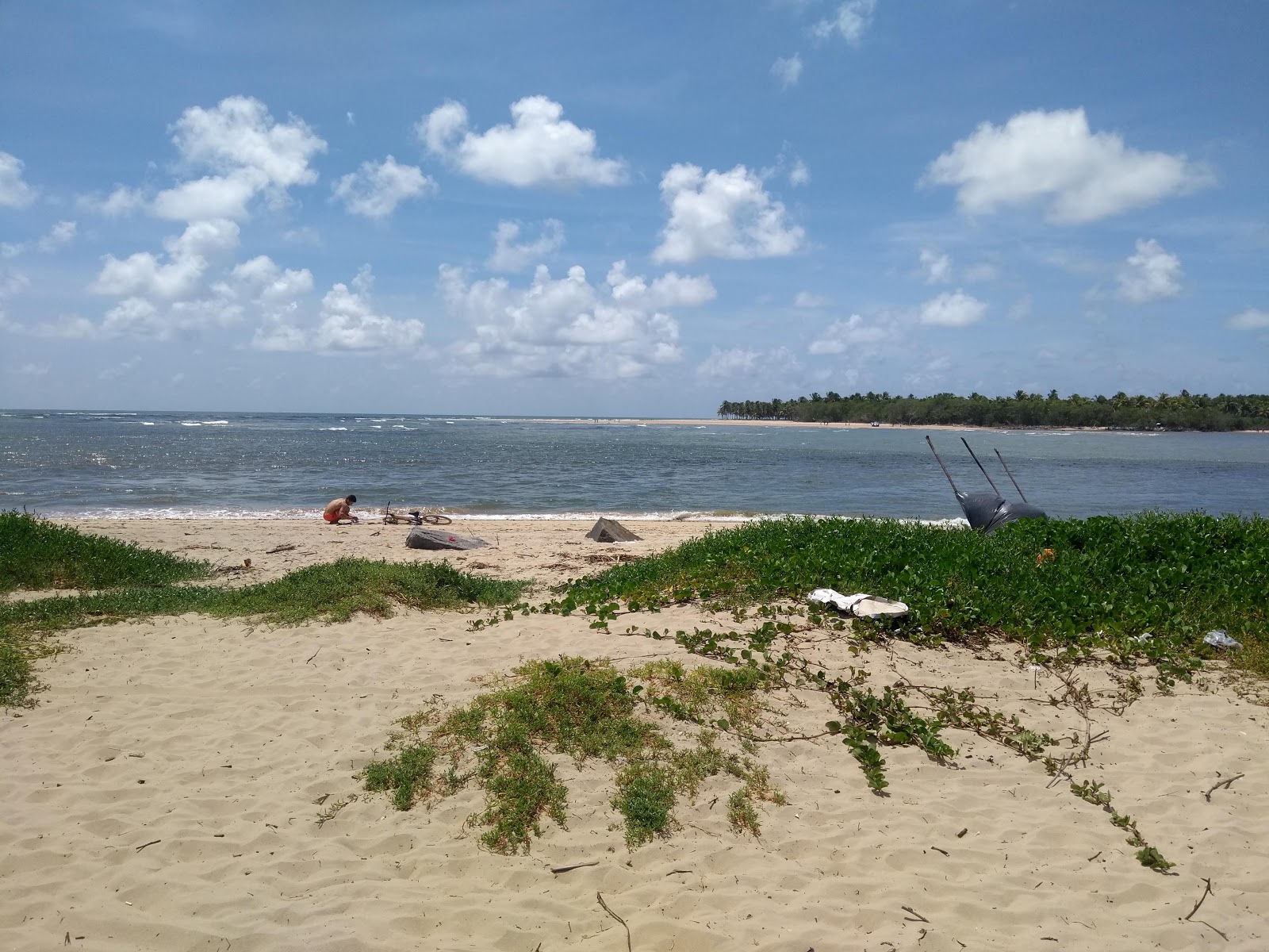 Foto de Praia de Barra de Jangada - bom local amigável para animais de estimação para férias