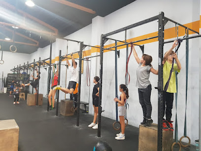 CROSSFIT GREY FOX