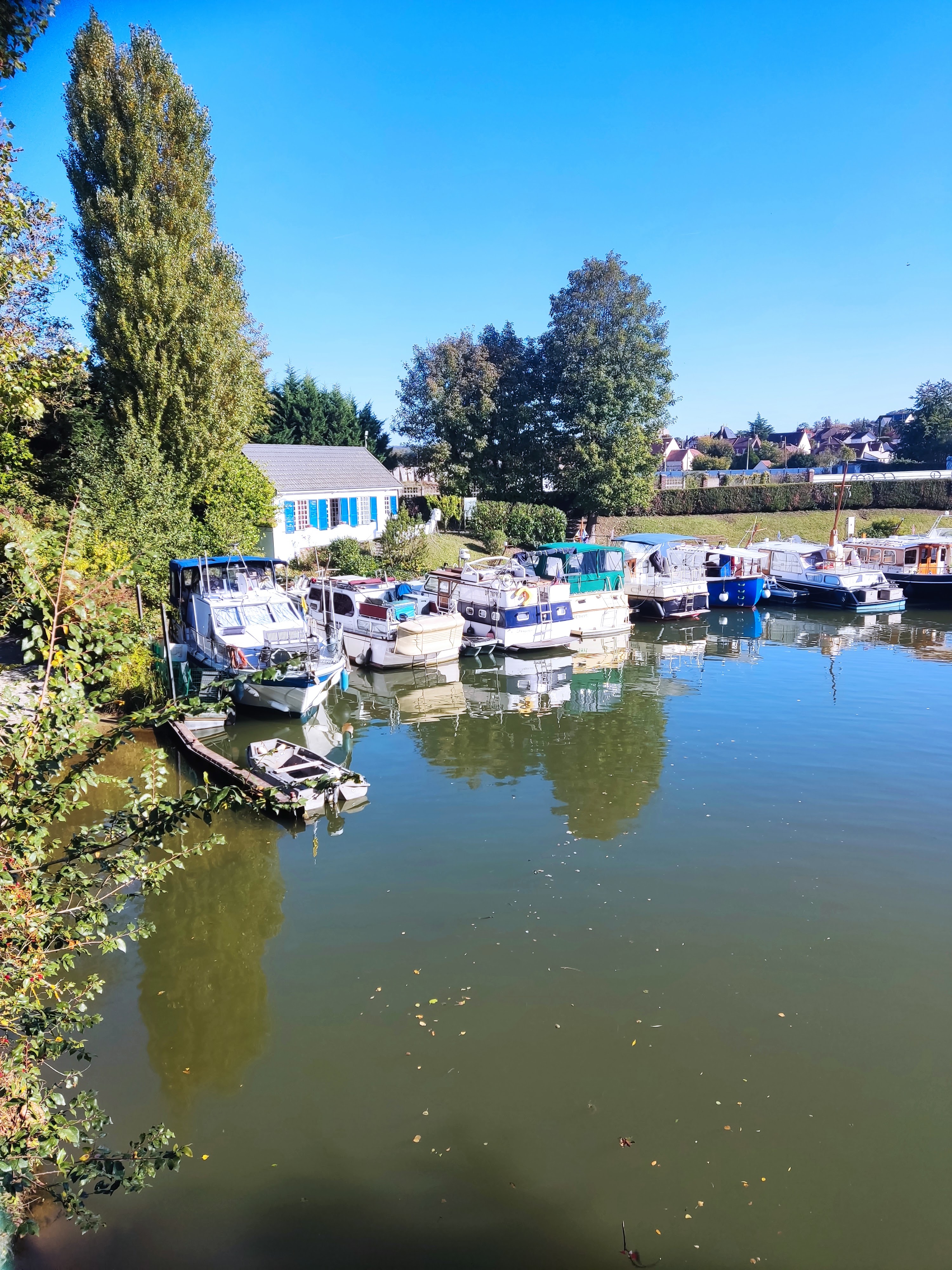Photo n° 22 de l'avis de Mikkonen.e fait le 19/10/2021 à 08:24
