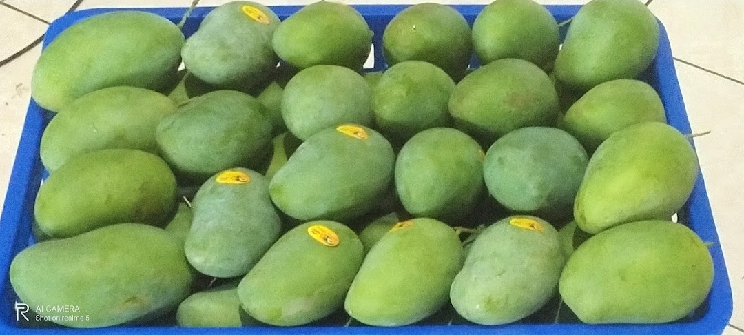 Taman Buah Mangga