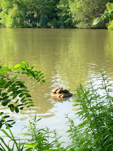Park «Kissena Park», reviews and photos, 164-15 Booth Memorial Ave, Fresh Meadows, NY 11365, USA