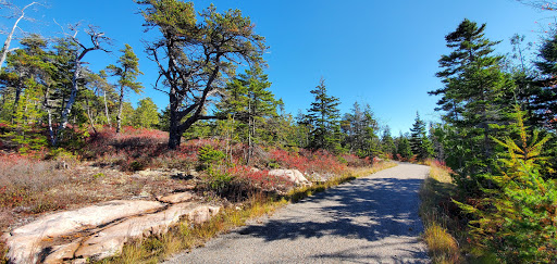 Vista Point «Schoodic Point», reviews and photos, Arey Cove Rd, Winter Harbor, ME 04693, USA