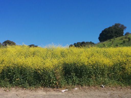 Self-Storage Facility «CubeSmart Self Storage», reviews and photos, 42816 Osgood Rd, Fremont, CA 94539, USA