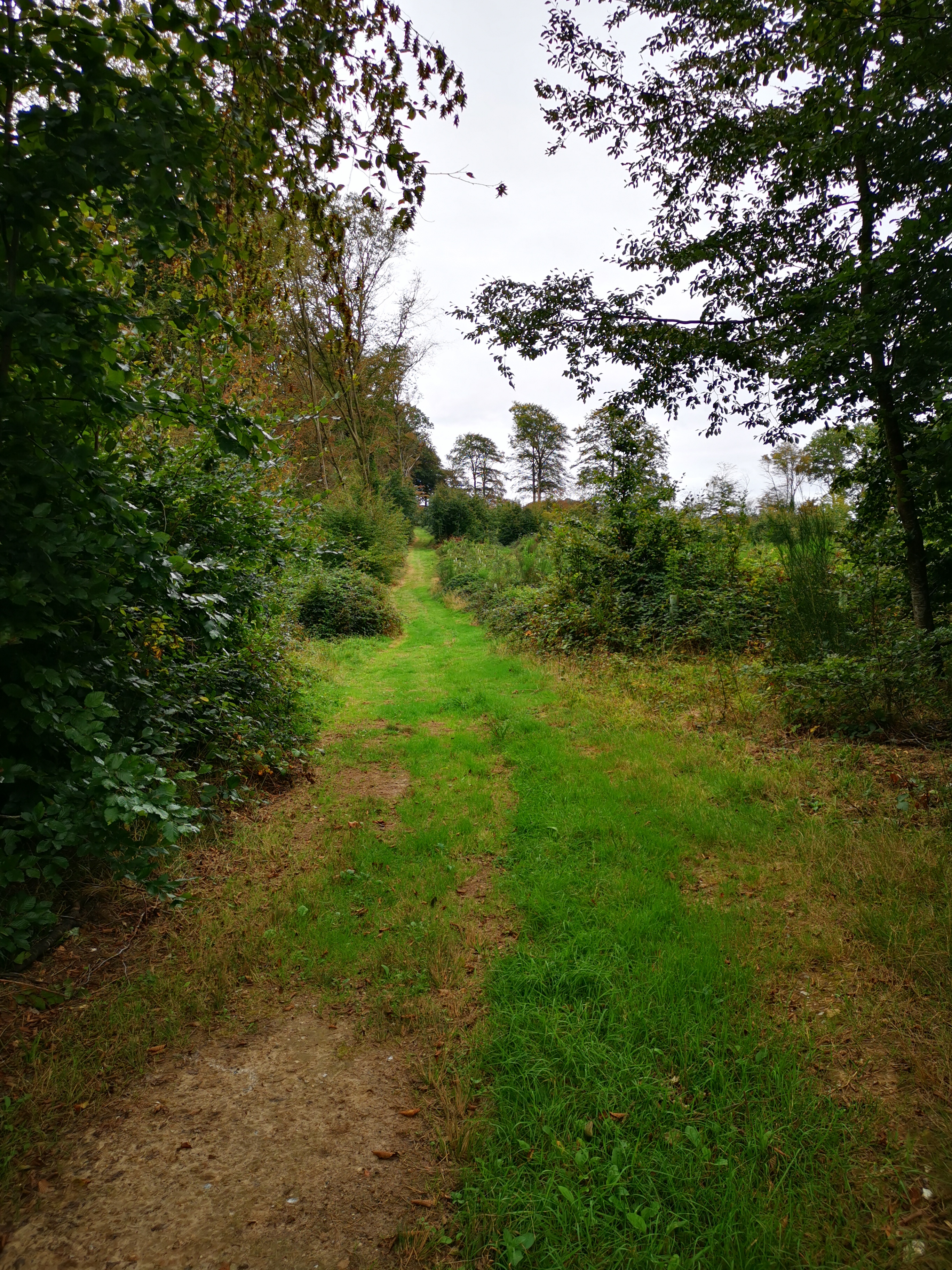 Photo n° 2 de l'avis de Sabrina.. fait le 29/09/2023 à 13:11