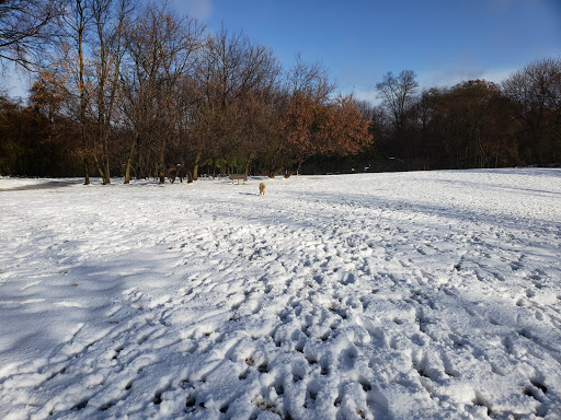 Park «Paws Place Dog Park», reviews and photos, Broadfield Rd, New Rochelle, NY 10804, USA