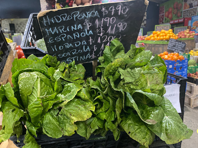 BODEGA RENGIFO PUERTO MONTT - Frutería