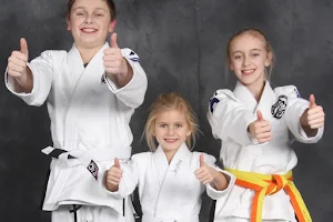 Empowered Martial Arts Academies - Springfield & Rochester image