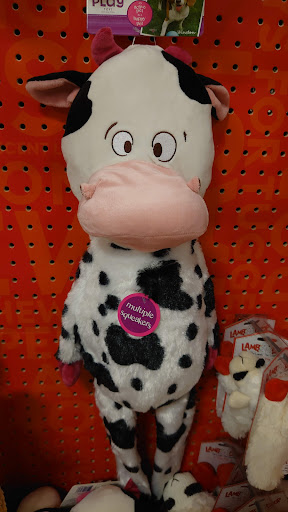 Pet Supply Store «PetSmart», reviews and photos, 26532 Towne Centre Dr, Foothill Ranch, CA 92610, USA