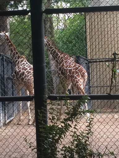 Zoo «Seattle Rotary Education Center», reviews and photos, Zoo acrd., Seattle, WA 98103, USA