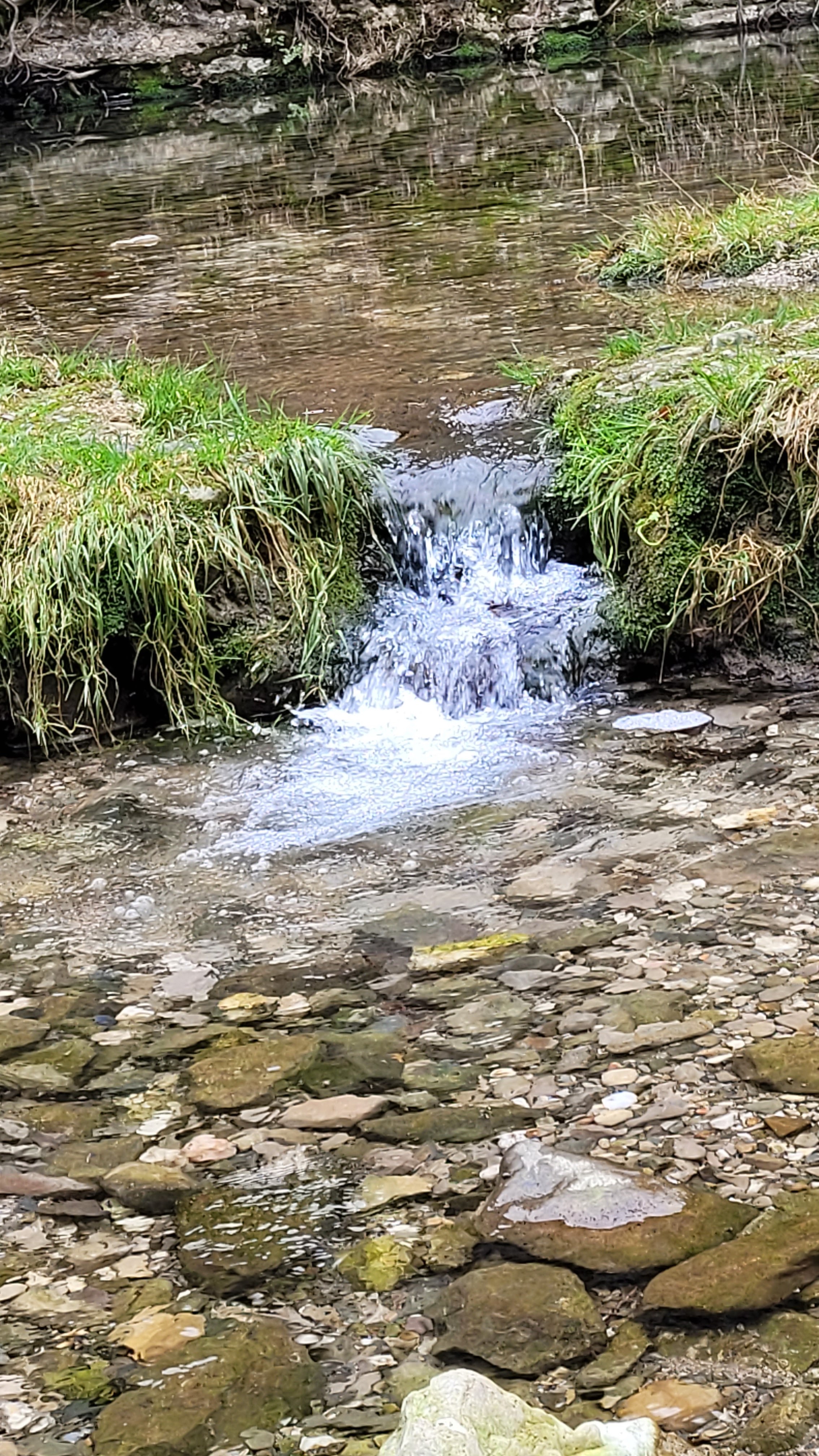 Photo n° 4 de l'avis de Salopette.o fait le 28/12/2022 à 18:35