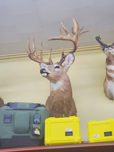 Hardware Store «Staples Ace Hardware», reviews and photos, 210 2nd Ave NE, Staples, MN 56479, USA