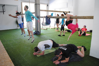 Gimnàs a València Paleotraining - Av. de Tirso de Molina, 6, 46009 València, Valencia, Spain