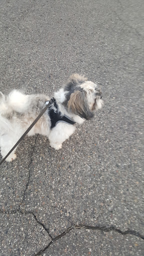 Pet Supply Store «Purely Pets», reviews and photos, 13723 23 Mile Rd, Shelby Charter Township, MI 48315, USA