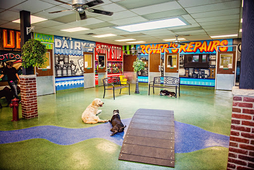 Dog Day Care Center «Central Park Pet Retreat», reviews and photos, 55 Miller Ave S, Salt Lake City, UT 84115, USA