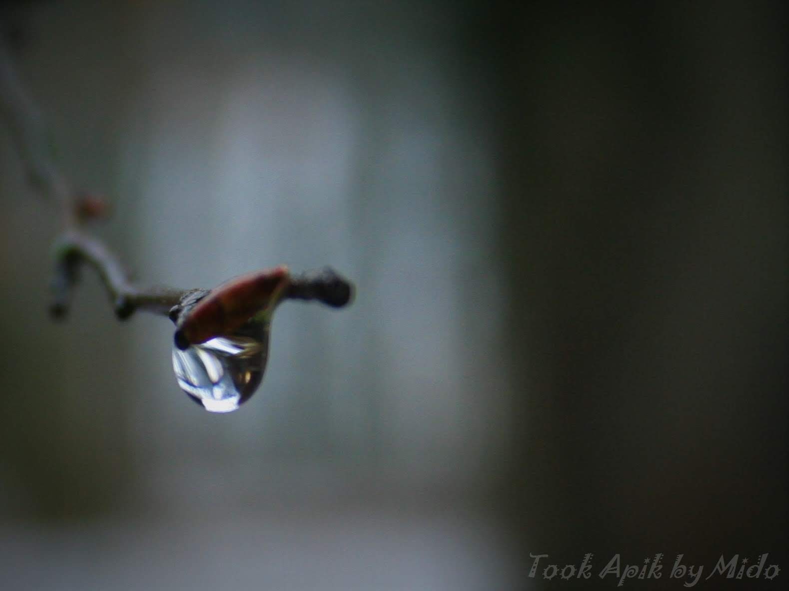 Photo n° 22 de l'avis de Mi.o fait le 26/06/2019 à 06:26