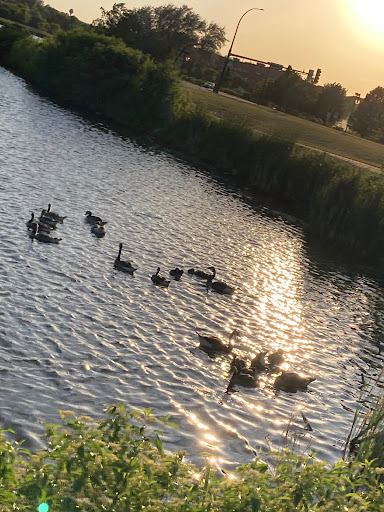 Park «Purgatory Creek Park Pavilion», reviews and photos, 13001 Technology Dr, Eden Prairie, MN 55344, USA