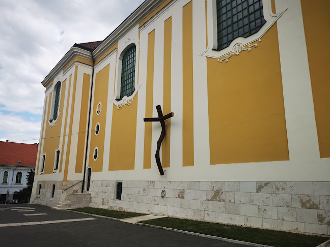 Székesfehérvári Szent István-székesegyház - Templom