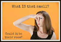 Stink Stompers NorCal - Photo 6 - Car repair in Vacaville, CA, Vacaville