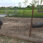 Photo n°9 de l'avis de Enrico.a fait le 04/05/2019 à 22:57 sur le  Agriturismo e Ristoro Cascina Riazzolo à Cascina Riazzolo