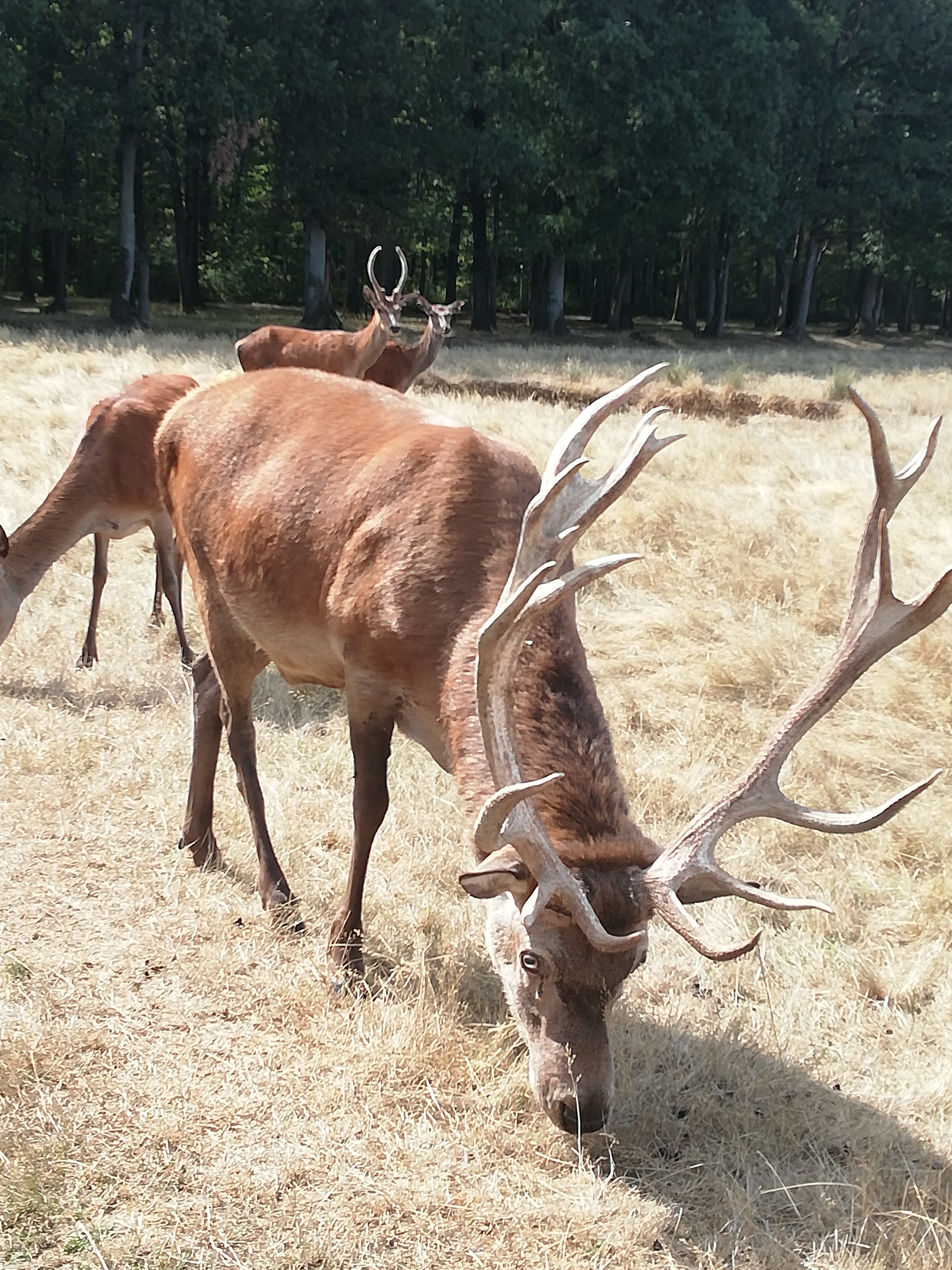 Photo n° 21 de l'avis de Severine.e fait le 23/08/2019 à 23:18