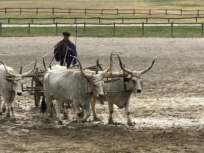 Nyitvatartás: Bakodpustza Horse Farm