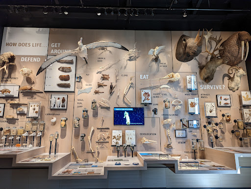 Natural History Museum «Burke Museum of Natural History and Culture», reviews and photos, 1413 NE 45th St, Seattle, WA 98105, USA