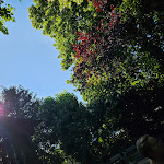 Photo n°3 de l'avis de Dirk.� fait le 23/08/2016 à 21:18 sur le  Bermpohl à Gütersloh